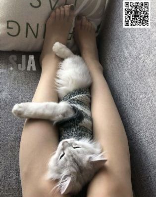天天做天天爱夜夜爽毛片试看_BD韩语免费播放